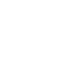 Beschreibung