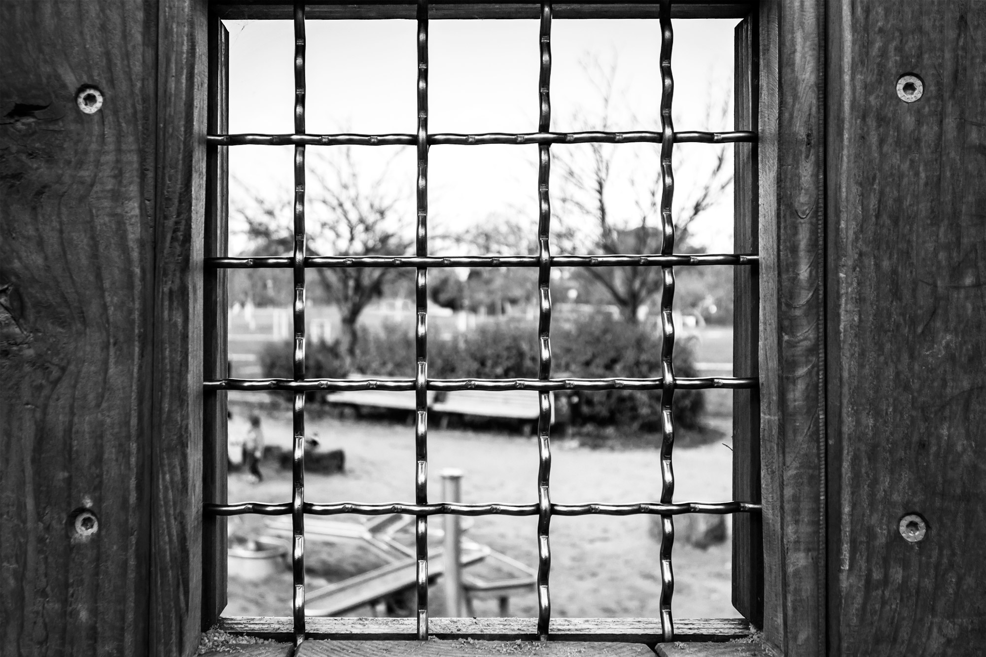 Window
