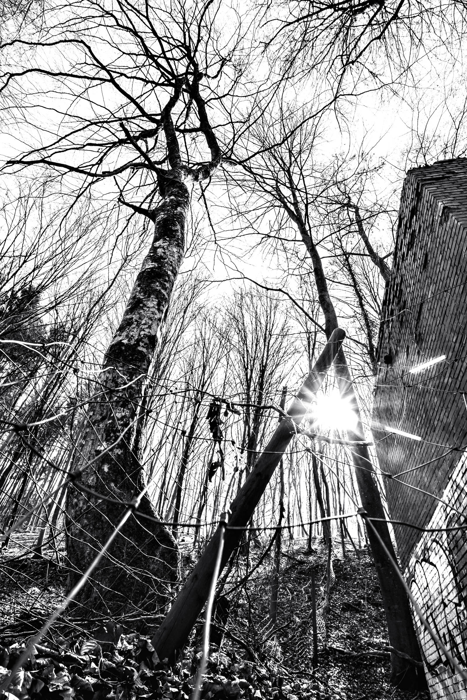 Crazy Lines 1