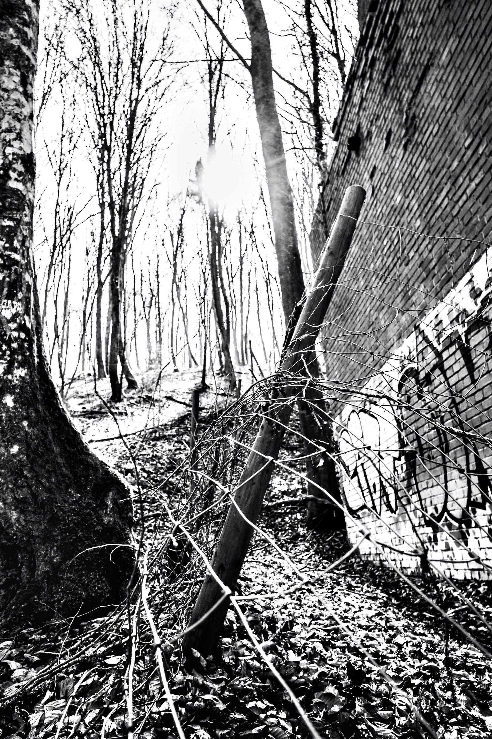Crazy Lines 2