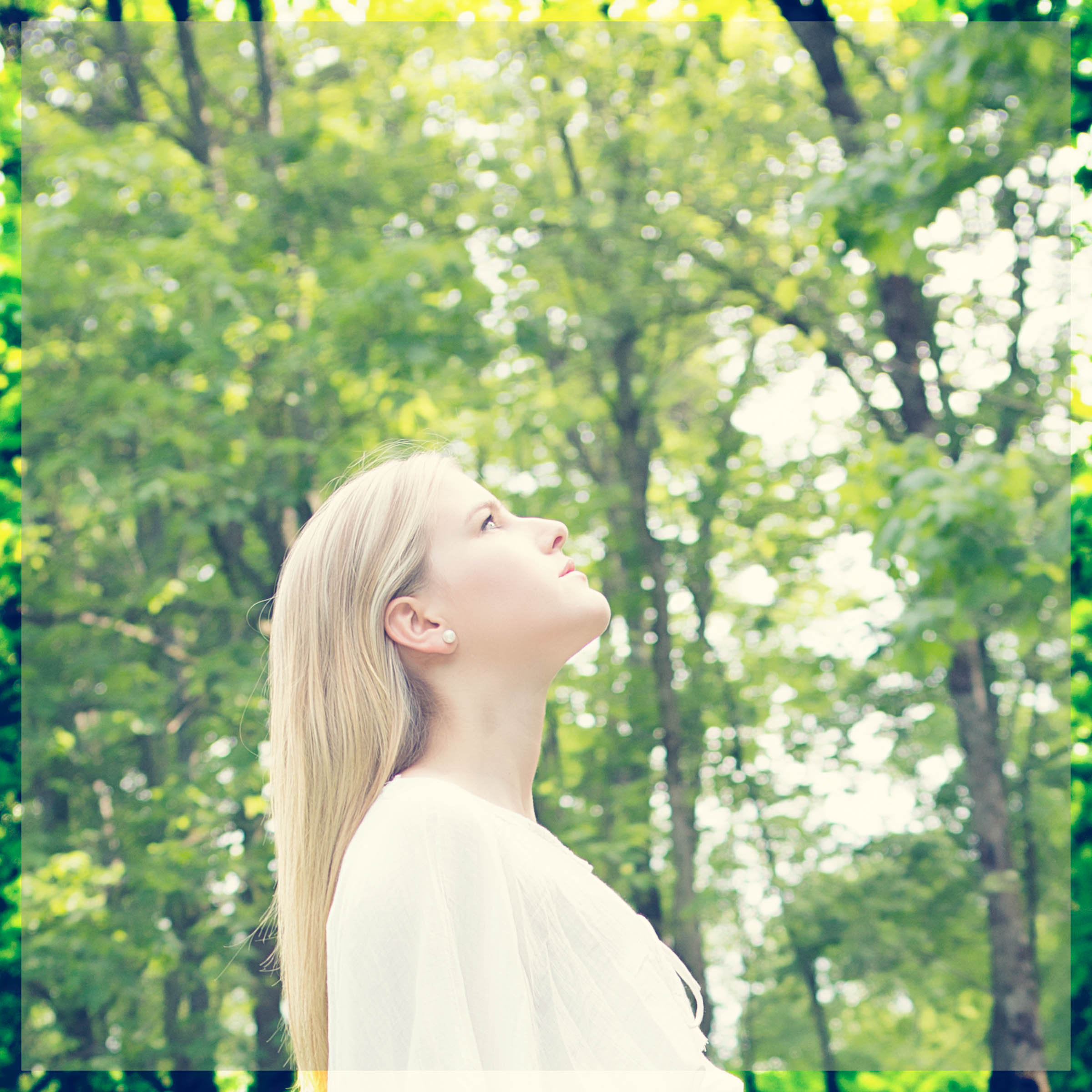 Looking Up