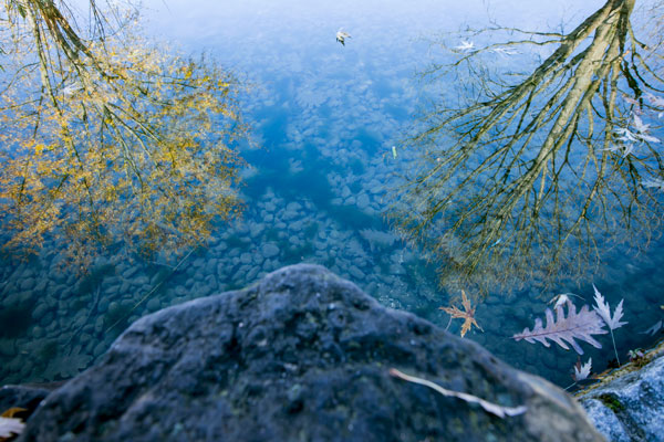 Zwei Welten verschwimmen...<br />
Wasserspiegelungen in einem kleinen See.