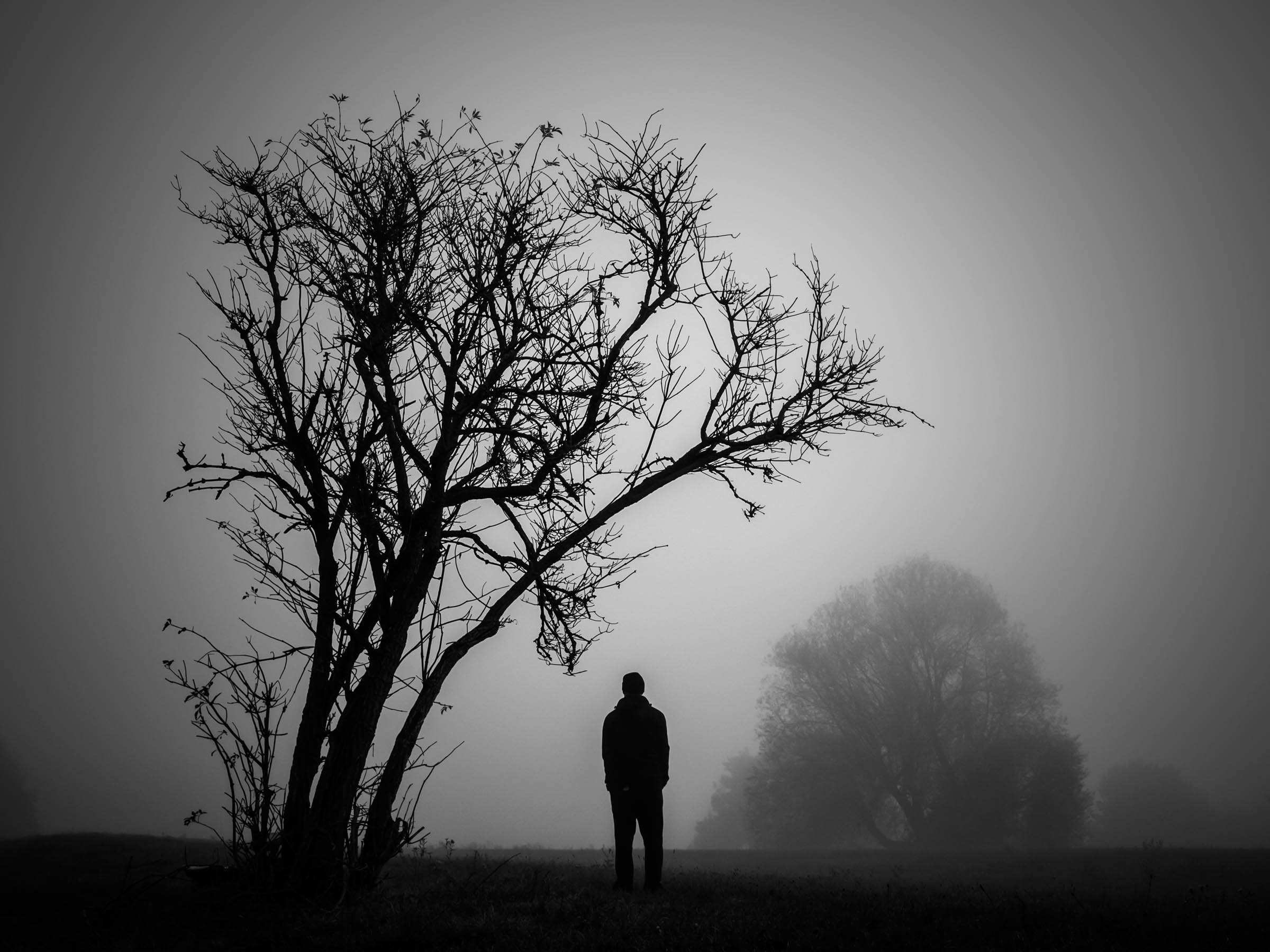 Dark Portrait